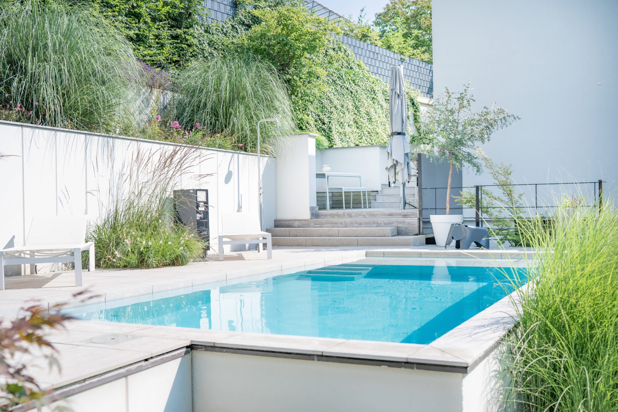 Haus WIE – Pool mit Steinumrandung und Gräsern am Hanggarten