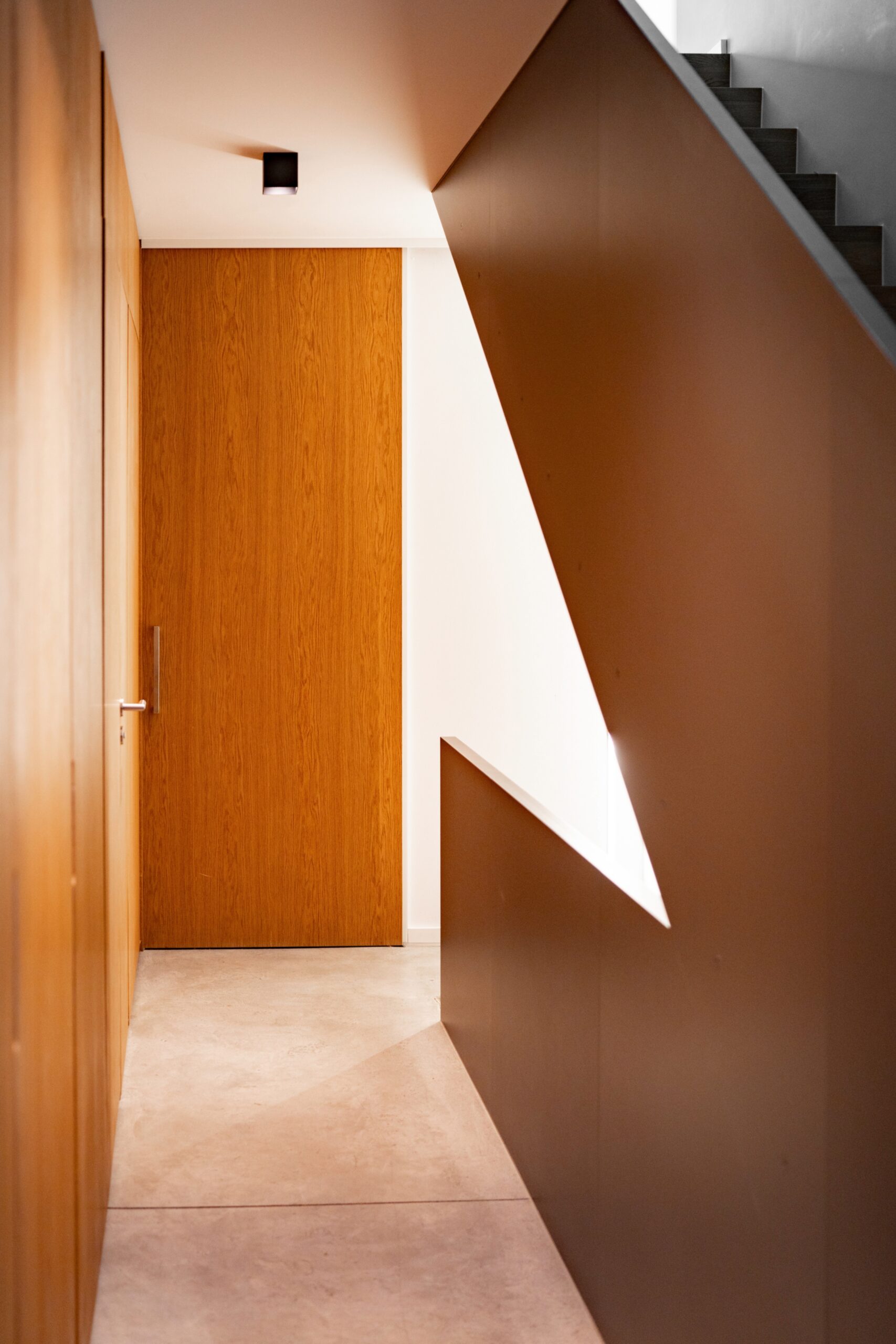 Haus WIE – Diele mit holzverkleideter Wand und einfallendem Tageslicht